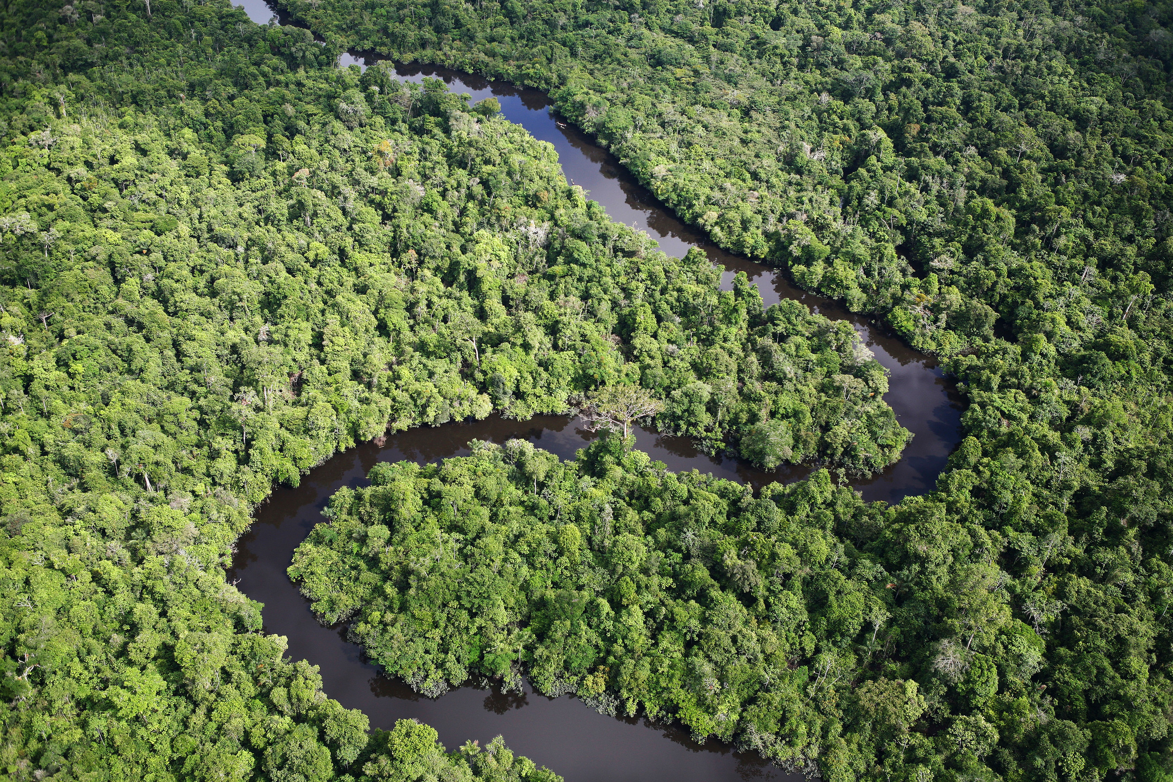 Aerial shot of the Amazon
